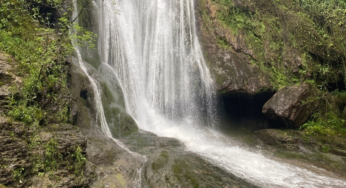 Une cascade paisible dévale sur des rochers couverts de mousse, au milieu d'une végétation luxuriante. L'eau s'écoule doucement dans un bassin aux eaux limpides, créant un tableau naturel empreint de sérénité.