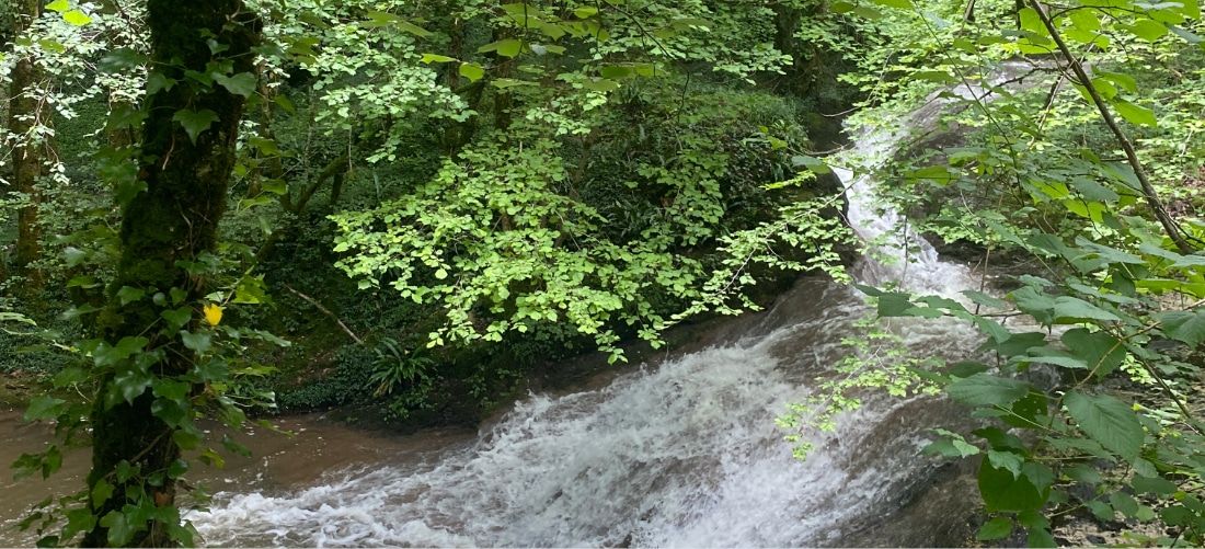 Une cascade en gradins s'écoule à travers un feuillage d'un vert luxuriant, au cœur d'une forêt dense. La lumière du soleil filtre à travers les feuilles, créant une atmosphère naturelle et sereine.