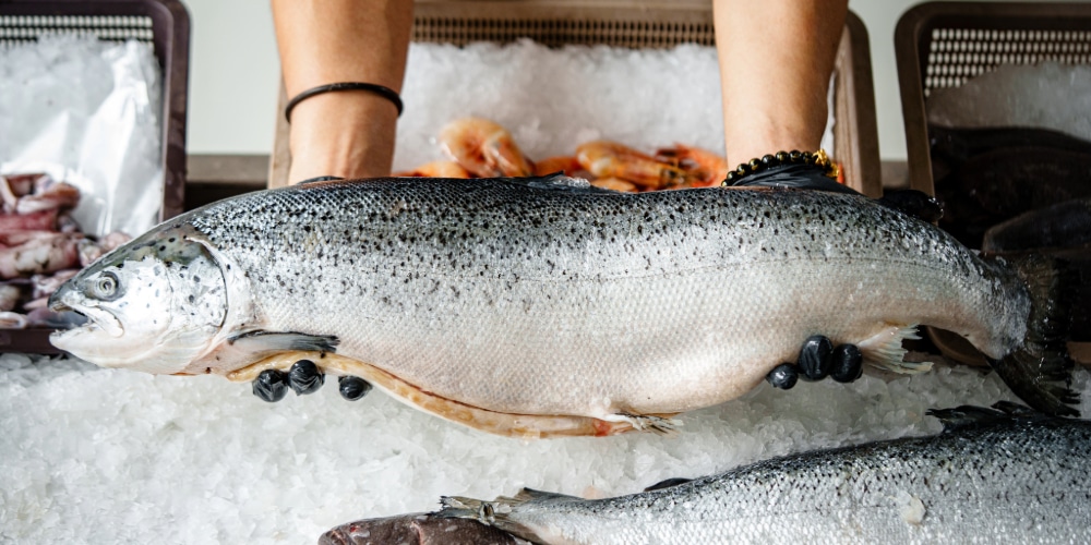 Des mains gantées de noir tiennent un gros saumon frais au-dessus d'un lit de glace sur un marché. Des crevettes et d'autres poissons sont visibles en arrière-plan, évoquant la fraîcheur.
